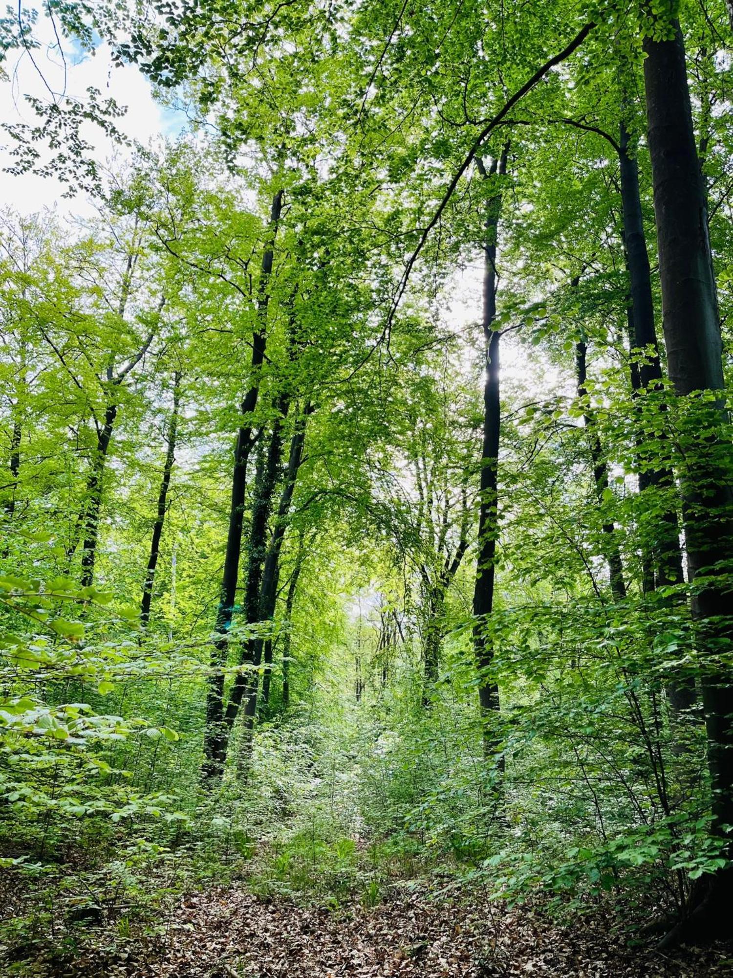 Kornspeicher Himmelpfort Zewnętrze zdjęcie